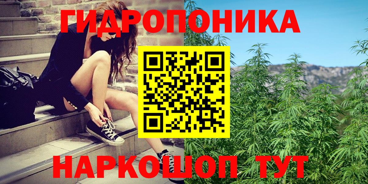 Конопля марихуана Котовск